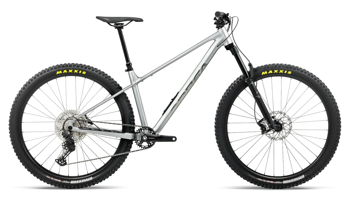 ORBEA LAUFEY H10 L Smooth Silver - Titanium