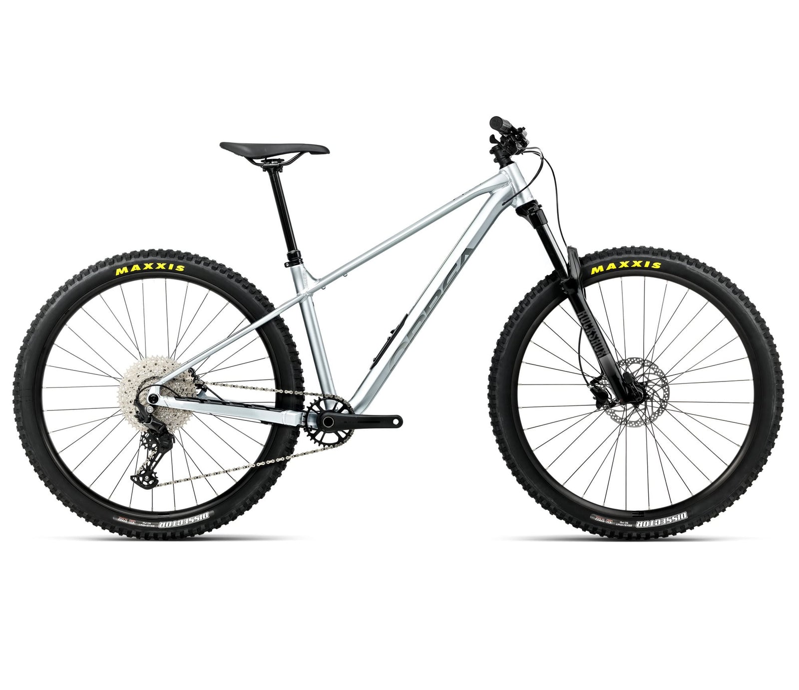 ORBEA LAUFEY H30 M Smooth Silver - Titanium