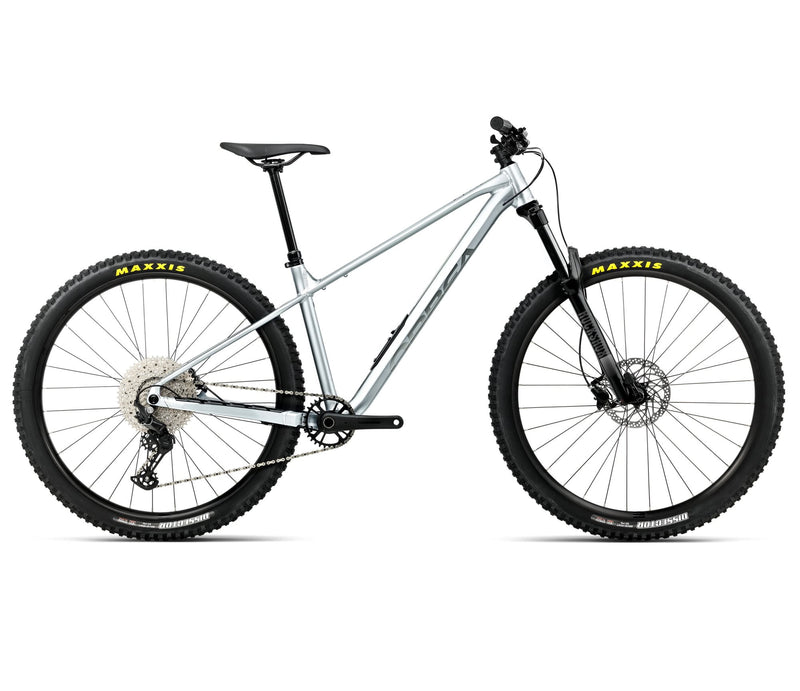 ORBEA LAUFEY H30 M Smooth Silver - Titanium