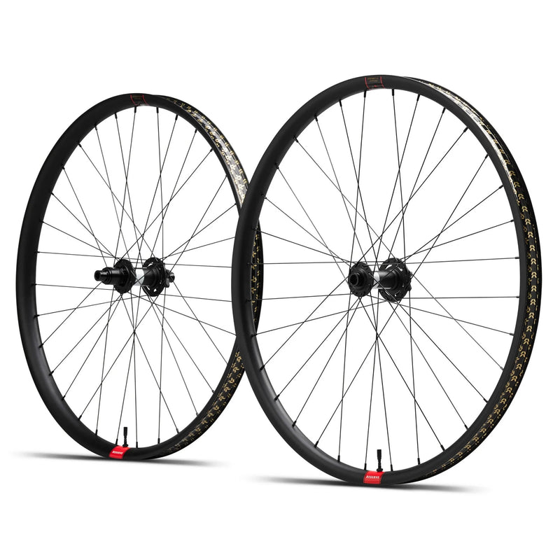RESERVE 30 HD AL 6069 29|DT 350 DEG DF 110 XD 6b Wheelset